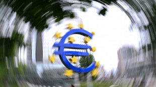 BCE: No&euml;l sans baisse de taux en zone euro