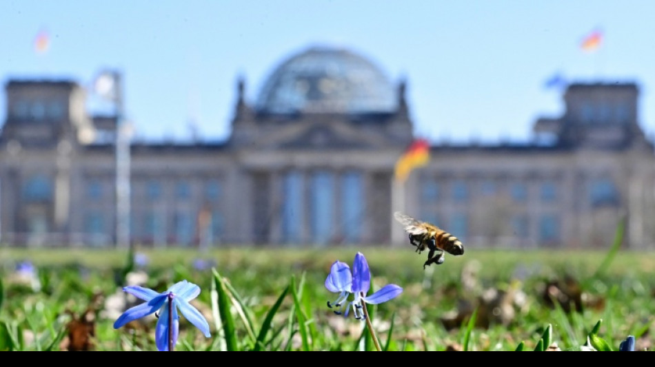 Bundestag verabschiedet Spritpreis-Gesetz