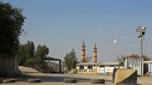 Afghanistan/Pakistan: la tr&ecirc;ve fragile objet de discussions en Turquie