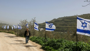 Pa&iacute;ses &aacute;rabes y la UE condenan plan israel&iacute; para reformar el registro de tierras en Cisjordania