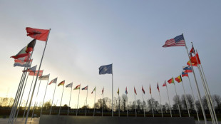 Finnland wird in die Nato aufgenommen