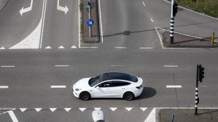 Tesla vola a Wall Street, +10% con debutto dei robotaxi a Austin