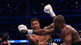 K.o. in Runde f&uuml;nf: Joshua ohne Chance gegen Dubois