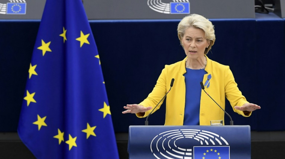 Gewinnabsch&ouml;pfung bei EU-Stromerzeugern soll 140 Milliarden Euro bringen