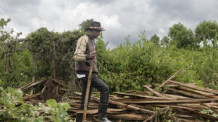 Au Kenya, des chasseurs-cueilleurs expulsés de leurs forêts ancestrales