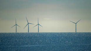 Le gouvernement Trump suspend tous les grands projets d'&eacute;olien en mer aux Etats-Unis