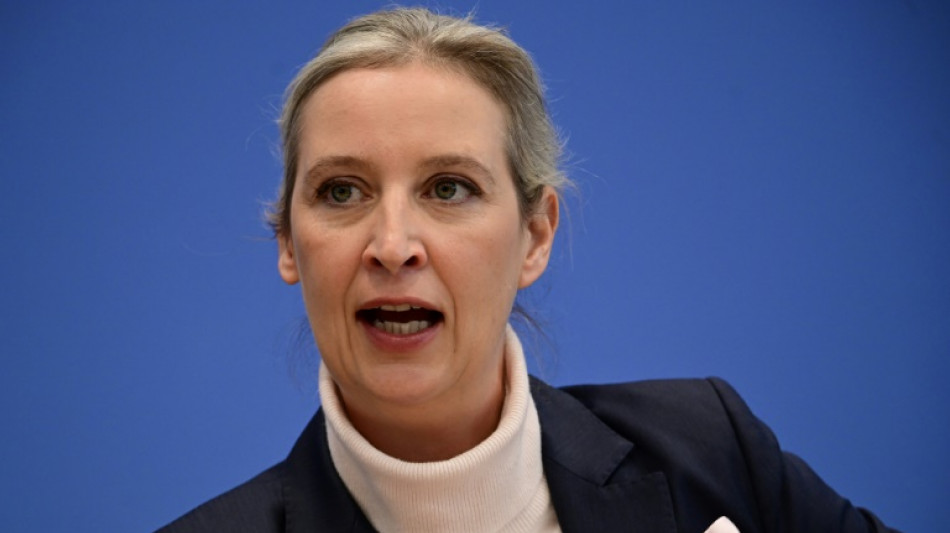Weidel: Koalitionsvertrag "tr&auml;gt durchgehend die Handschrift des Wahlverlierers SPD"