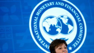 Seule candidate, la directrice g&eacute;n&eacute;rale du FMI en route pour un second mandat