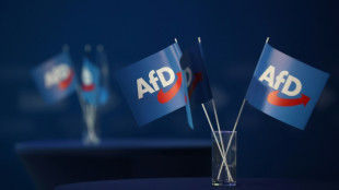 Steinbach: Bundeshaushalt 2022 sieht keine Mittel f&uuml;r AfD-nahe Stiftung vor