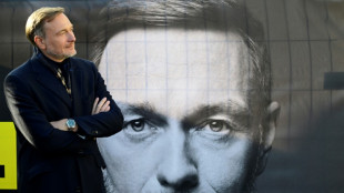 Lindner fordert andere Parteien zu st&auml;rkerem Werben um AfD-W&auml;hler auf