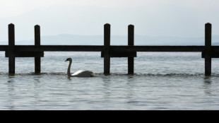 Großvater ertrinkt bei Bergungsversuch für Spielzeugboot in Starnberger See