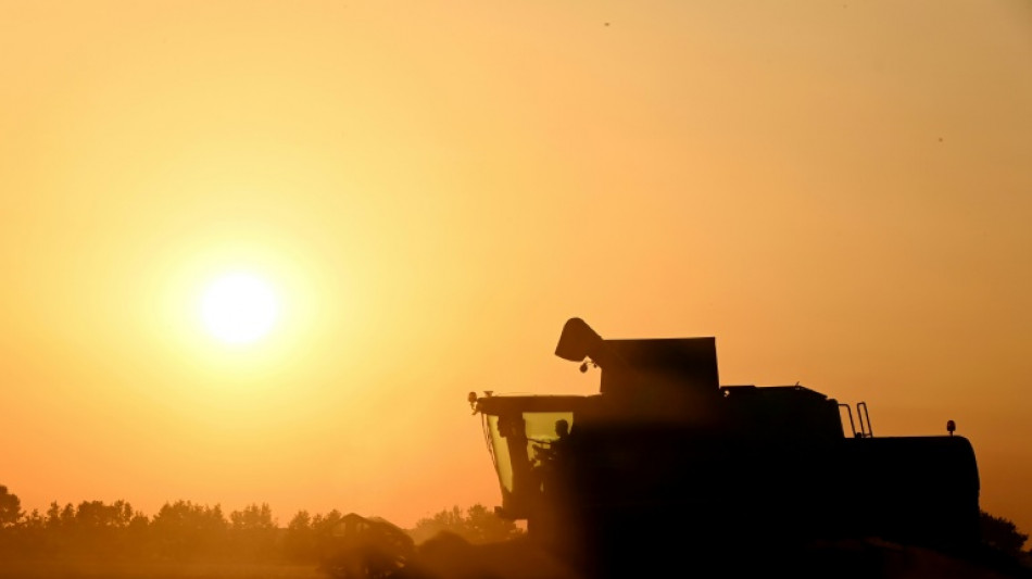 Agriculture: le Parlement adopte la loi Duplomb et la réintroduction sous conditions d'un pesticide