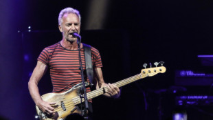 Sting finds fractured modern music scene 'quite odd'