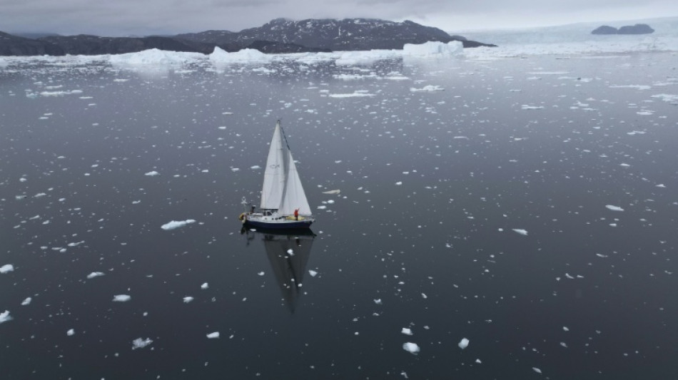 'Less and less sea ice': Brazil woman sails solo through Arctic