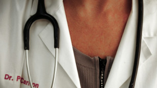 Verband: 40.000 Ausbildungspl&auml;tze bei Freiberuflern noch unbesetzt