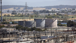 Il petrolio chiude in rialzo a New York a 59,44 dollari