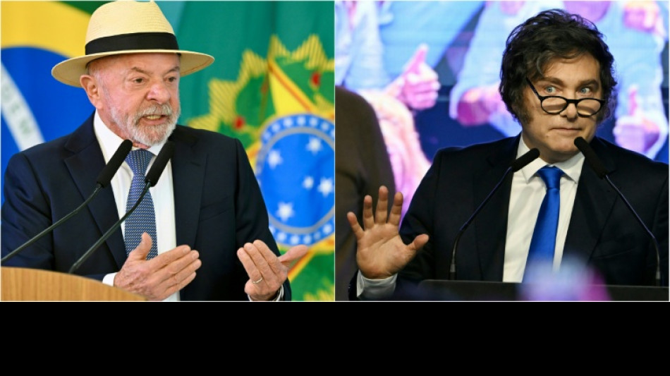 Abf&auml;llige &Auml;u&szlig;erungen Mileis l&ouml;sen Eklat zwischen Argentinien und Brasilien aus