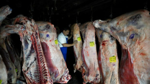 La econom&iacute;a argentina repunta en 2025 con un crecimiento de 4,4%