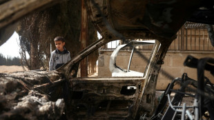 Frappes israélienne près du palais présidentiel de Damas après des violences contre les druzes