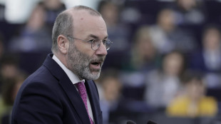Weber, 'sostengo la visita di Meloni in Usa, difende l'Ue'
