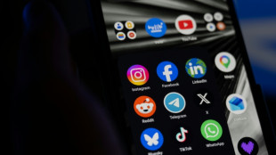 Interdiction des r&eacute;seaux sociaux sous 15 ans: accord au Parlement, ultime vote mardi