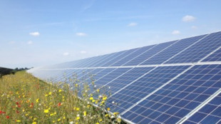 Aste FerX, Lightsource bp si aggiudica tre progetti per 145 Mw