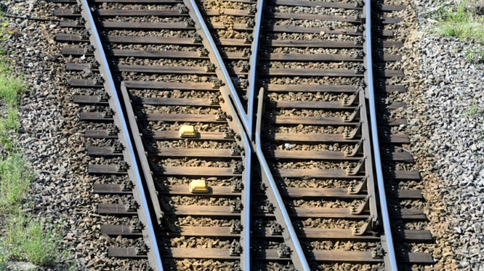 Gr&uuml;nen-Fraktion beschlie&szlig;t Reformpapier zur Deutschen Bahn