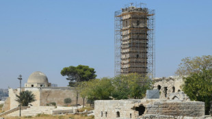 Aktionsplan f&uuml;r Syrien: Deutschland unterst&uuml;tzt bei Wiederaufbau und R&uuml;ckkehr