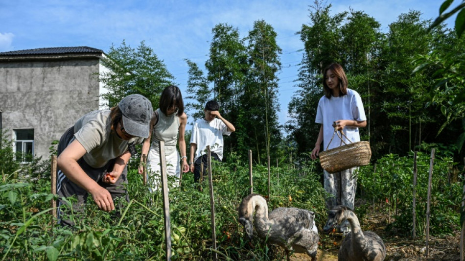 Nem homens, nem estresse: comunidades 100% femininas florescem na China