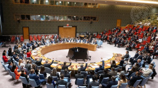 Oggi consiglio di sicurezza Onu urgente chiesto dall'Iran