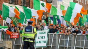 En Irlande, les candidats anti-immigration esp&egrave;rent progresser aux &eacute;lections