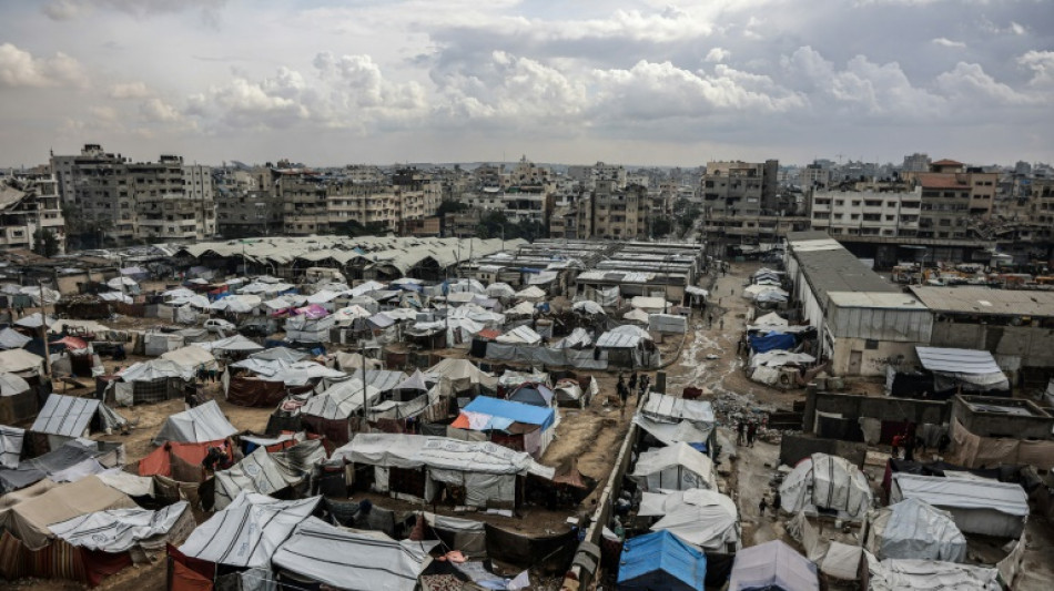 Positives Echo auf gr&uuml;nes Licht f&uuml;r Trumps Gaza-Friedensplan im UN-Sicherheitsrat