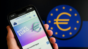 Could the digital euro get a green light in 2026?