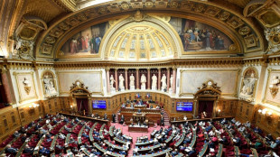 Apr&egrave;s les turbulences &agrave; l'Assembl&eacute;e, le projet de loi sanitaire aux mains du S&eacute;nat