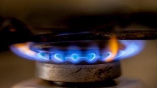 Il prezzo del gas apre in calo a 31,32 euro
