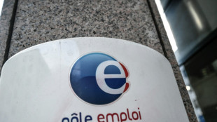 Embauches: P&ocirc;le emploi pr&eacute;voit "une ann&eacute;e de tous les records"