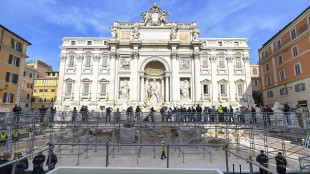 Media Usa, 'Fontana di Trevi? ora c'&egrave; una piscina comunale'