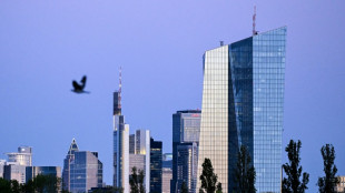Les n&eacute;obanques rendent la r&eacute;mun&eacute;ration des d&eacute;p&ocirc;ts plus agile (blog de la BCE)