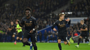 Angleterre: Arsenal distance City, United finit l'ann&eacute;e en trombe