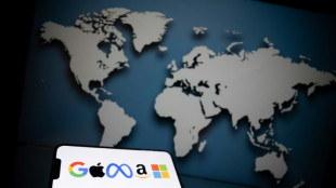 Netflix et Gafam concentrent près de la moitié du trafic internet français