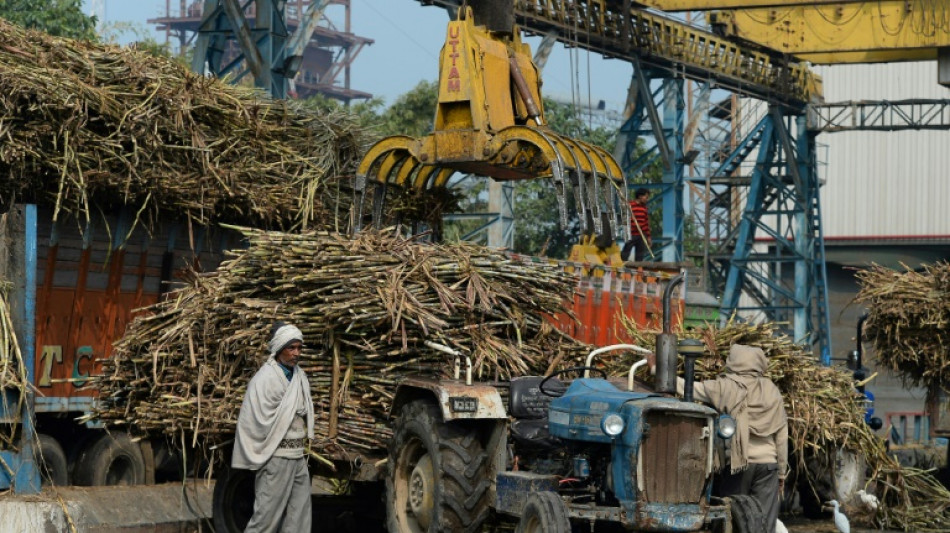 Apr&egrave;s le bl&eacute;, l'Inde restreint l'exportation de sucre