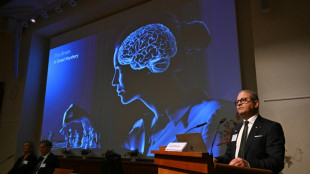 US-German trio wins medicine Nobel for work on optogenetics