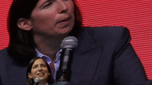 Ddl antisemitismo:Schlein, appello a destra, cambi definizione divisiva o votiamo no