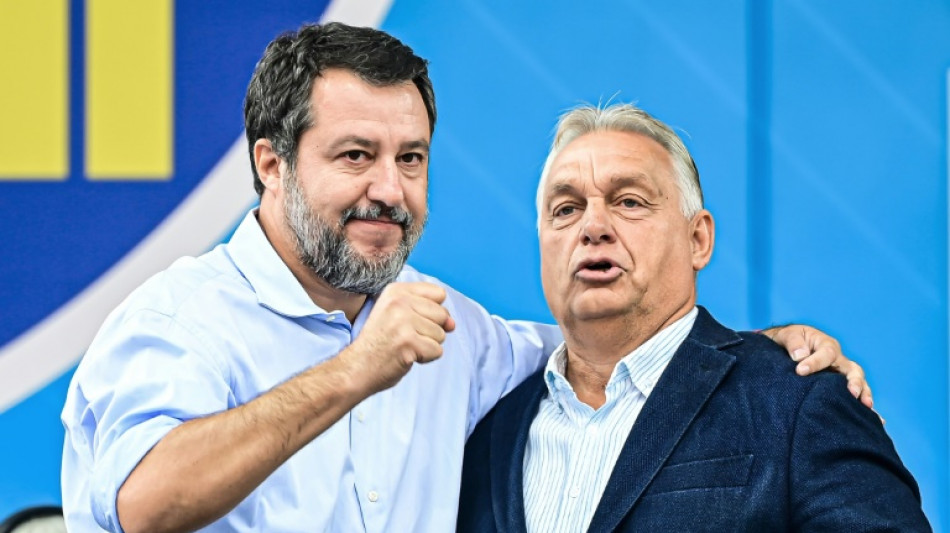 Salvini und Orban kritisieren EU bei Lega-Fest als "&ouml;koterroristisch"