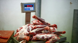 Los precios mundiales de los alimentos suben en julio, impulsados por la carne y los aceites vegetales