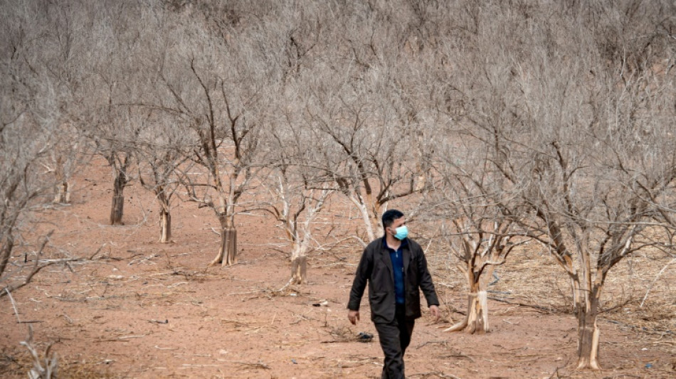 Maroc: une s&eacute;cheresse in&eacute;dite fait craindre une grave p&eacute;nurie d'eau