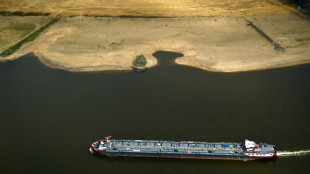 German economy logs 0.2% growth, faster than expected