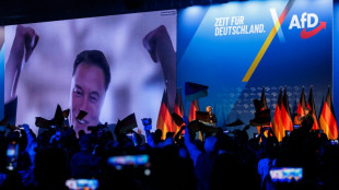 Elon Musk appelle &agrave; la fiert&eacute; d'&ecirc;tre Allemand lors d'un meeting de l'AfD