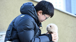 Los jóvenes chinos buscan bienestar emocional en las mascotas con IA