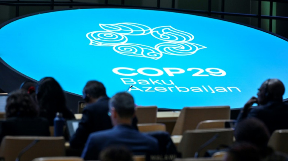 Europe's pivotal role in bid to strike COP29 climate deal